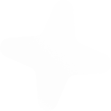 star decoration